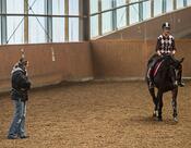 Dressurlehrgang mit Britta Baumgart Dressurlehrgang mit Britta Baumgart