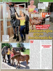 Zebra Pferde Hof-Schierenbeck