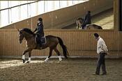 Dressurlehrgang bei Jörn Kubelke Dressurlehrgang bei Jörn Kubelke