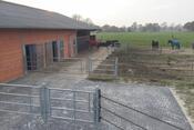 Pflasterung Offenstall