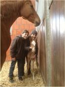 Osterfohlen 2013 Osterfohlen 2013