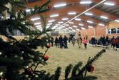 Weihnachtsreiten 2016