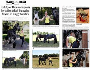 Daily-Mail-UK London  06.08.2013