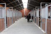 Ausbau Stall Hollstein