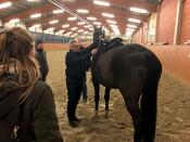 Jahreshauptversammlung 2017 Reitverein Hof-Schierenbeck