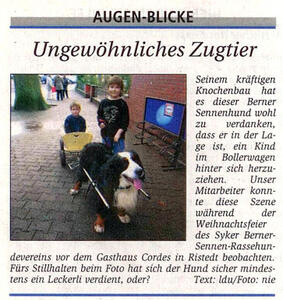 Ungewhnlichs Zugtier